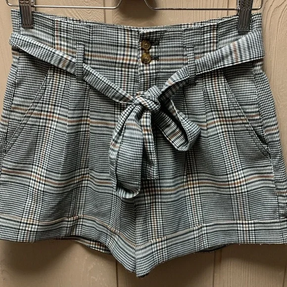 Abercrombie & Fitch Shorts - Picture 4 of 8